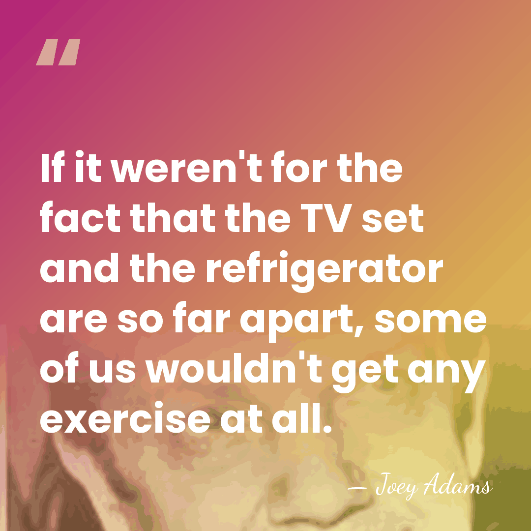 If it weren't for the fact that the TV set and the&hellip; - Joey Adams