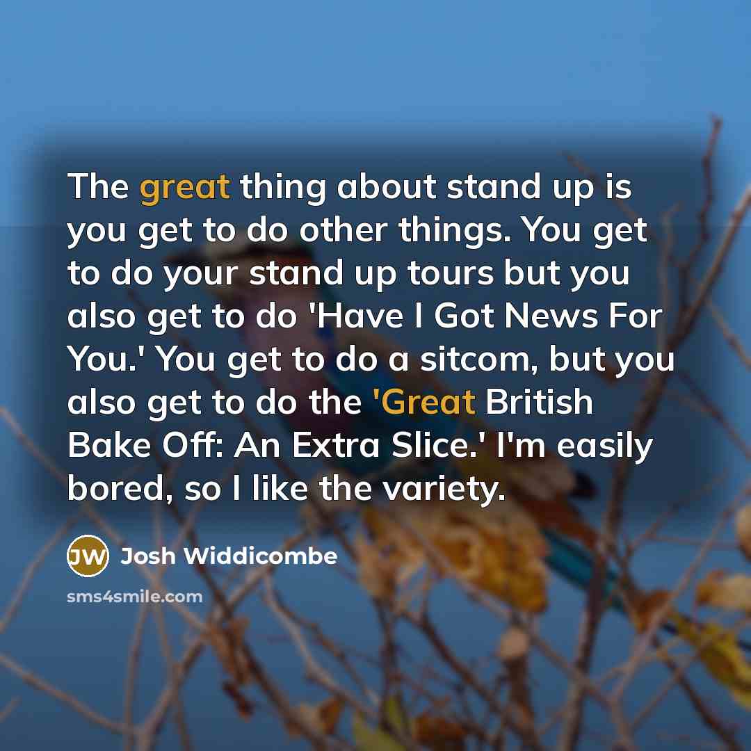 “The great thing about stand up is you get to…” quote by Josh Widdicombe