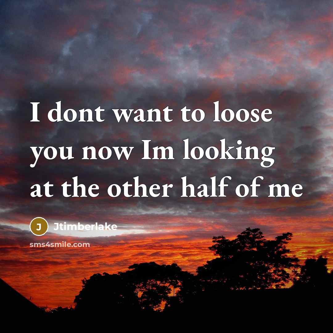 “I dont want to loose you now Im looking at the other half of me” quote by Jtimberlake
