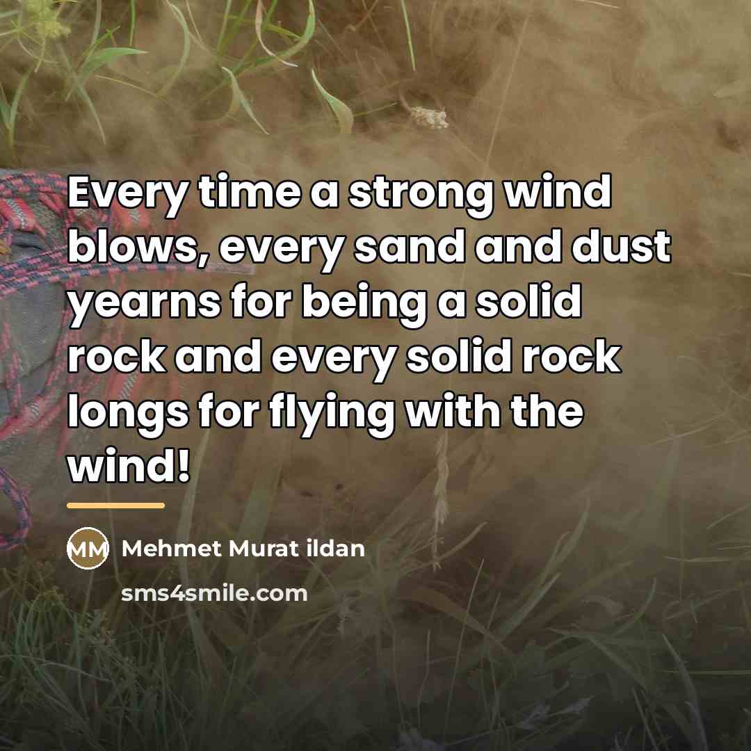 “Every time a strong wind blows, every sand and dust…” quote by Mehmet Murat Ildan