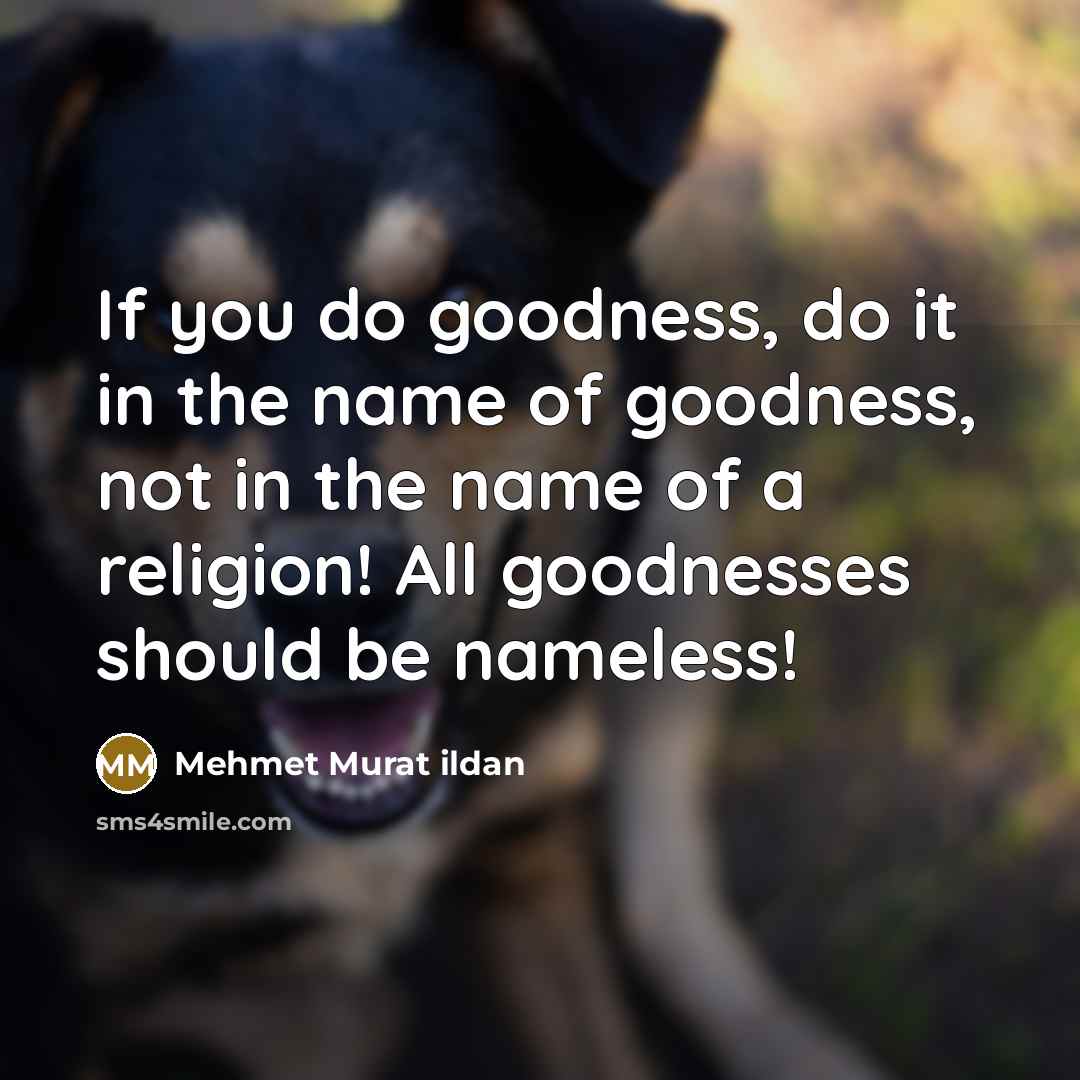 “If you do goodness, do it in the name of…” quote by Mehmet Murat Ildan