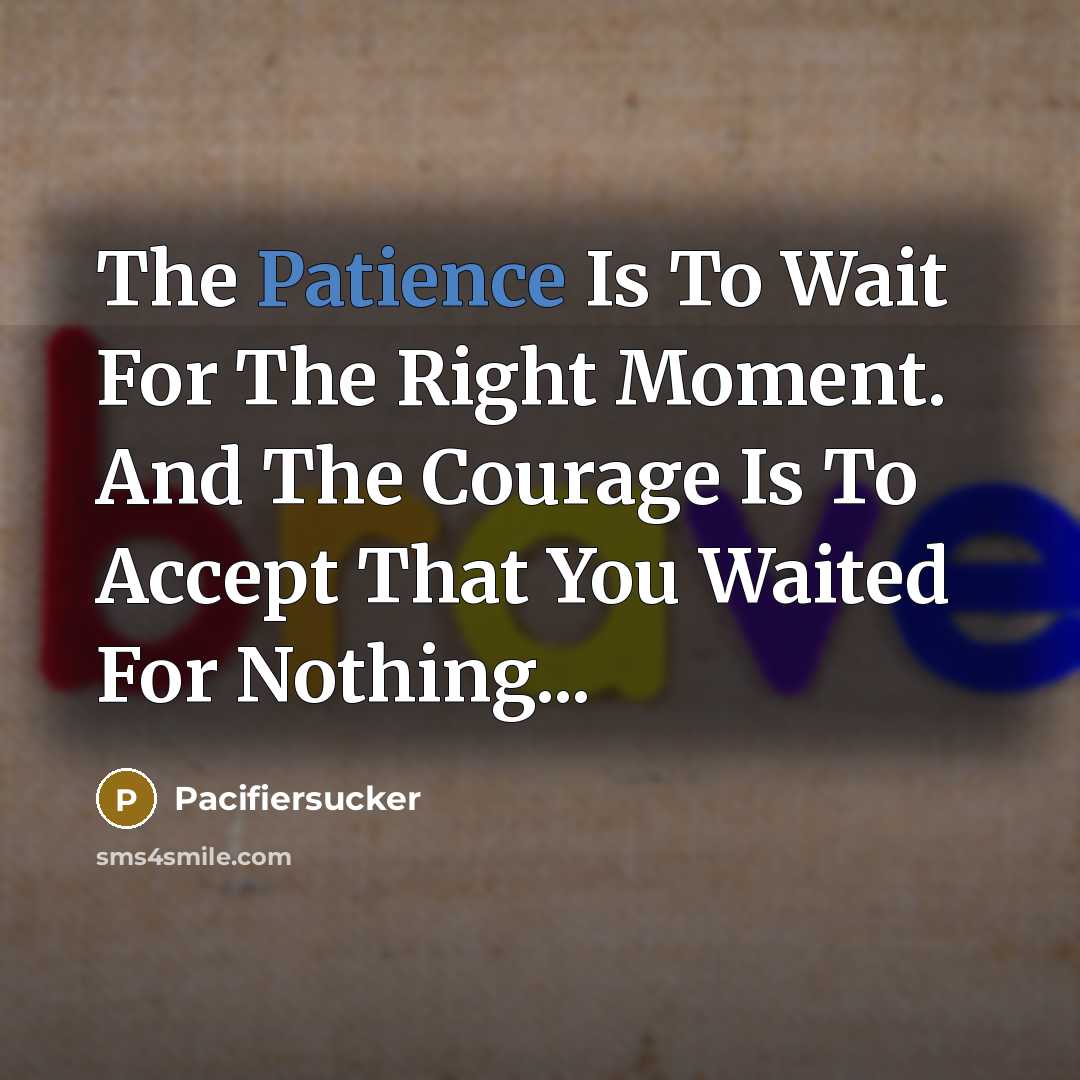 “The Patience Is To Wait For The Right Moment. And…” quote by Pacifiersucker