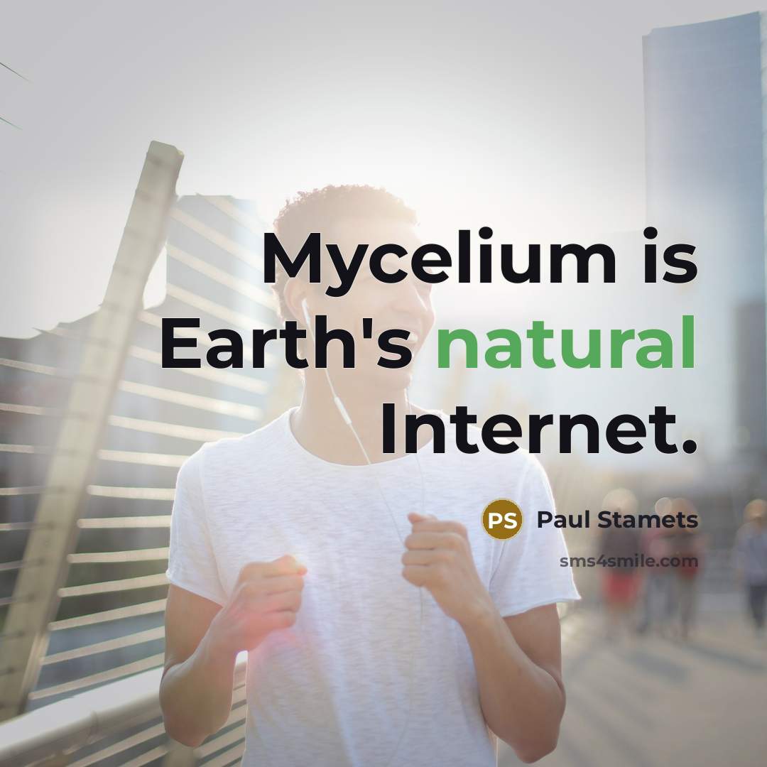 “Mycelium is Earth's natural Internet.…” quote by Paul Stamets