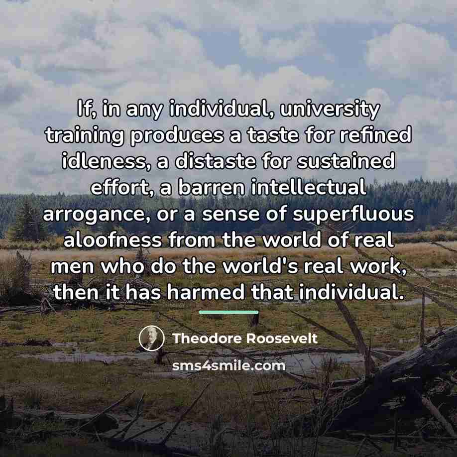 “If, in any individual, university training produces a taste for…” quote by Theodore Roosevelt