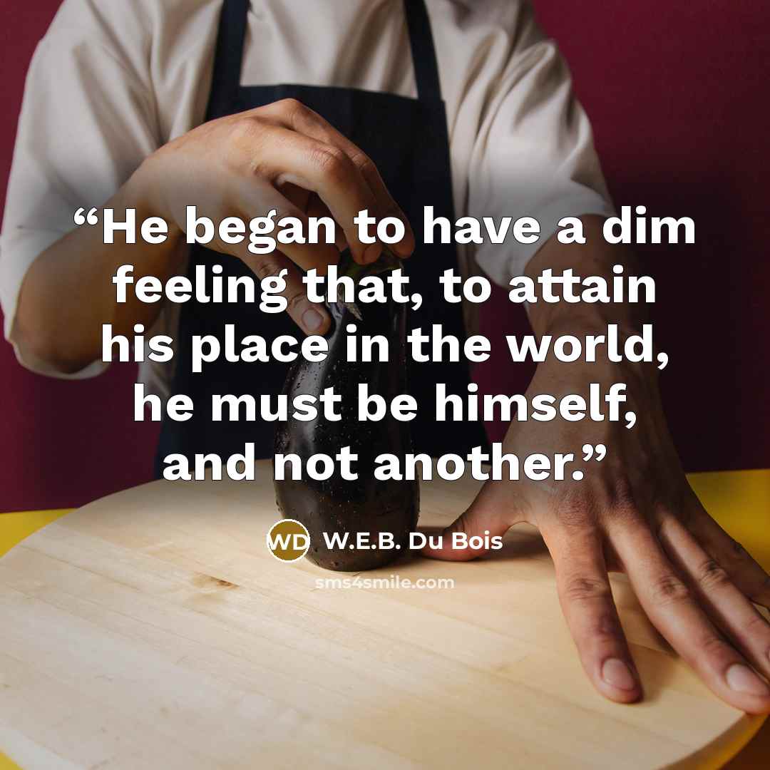 “He began to have a dim feeling that, to attain his place in the world, he must be himself, and not another.” quote by W.E.B. Du Bois