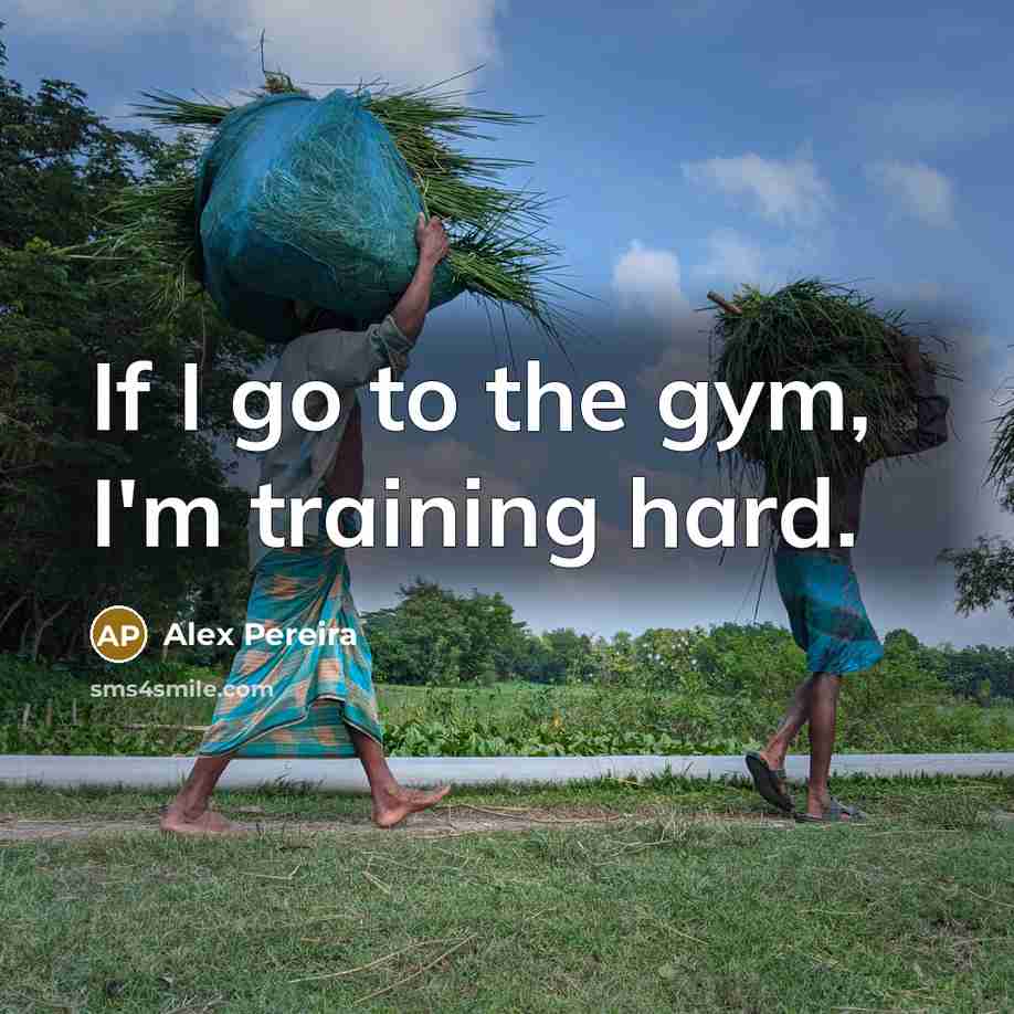 “If I go to the gym, I'm training hard.…” quote by Alex Pereira