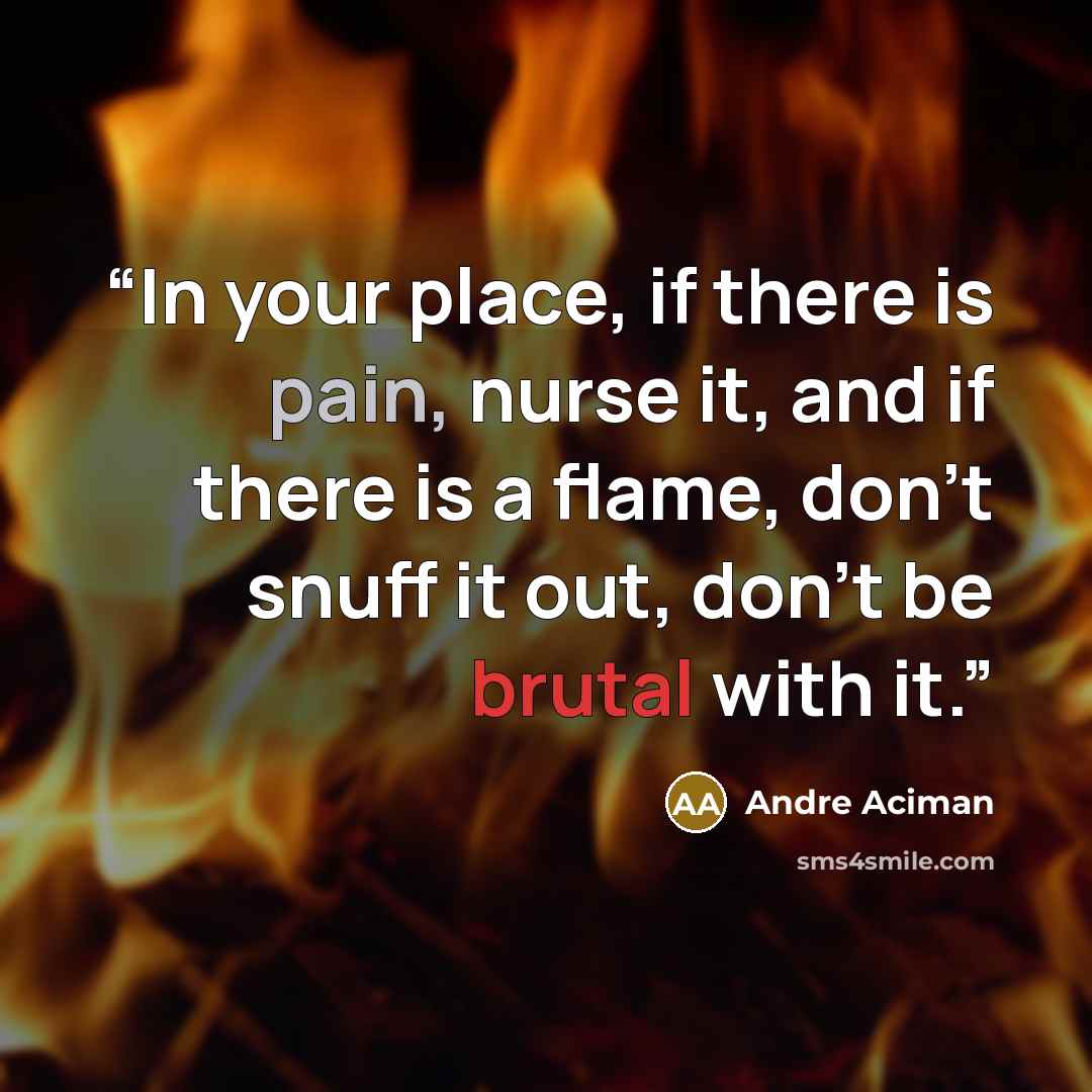 “In your place, if there is pain, nurse it, and if there is a flame, don’t snuff it out, don’t be brutal with it.” quote by André Aciman