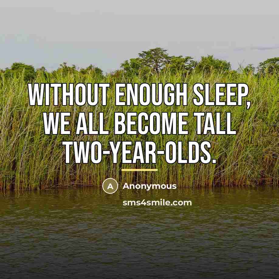 “Without enough sleep, we all become tall two-year-olds.…” quote by Anonymous