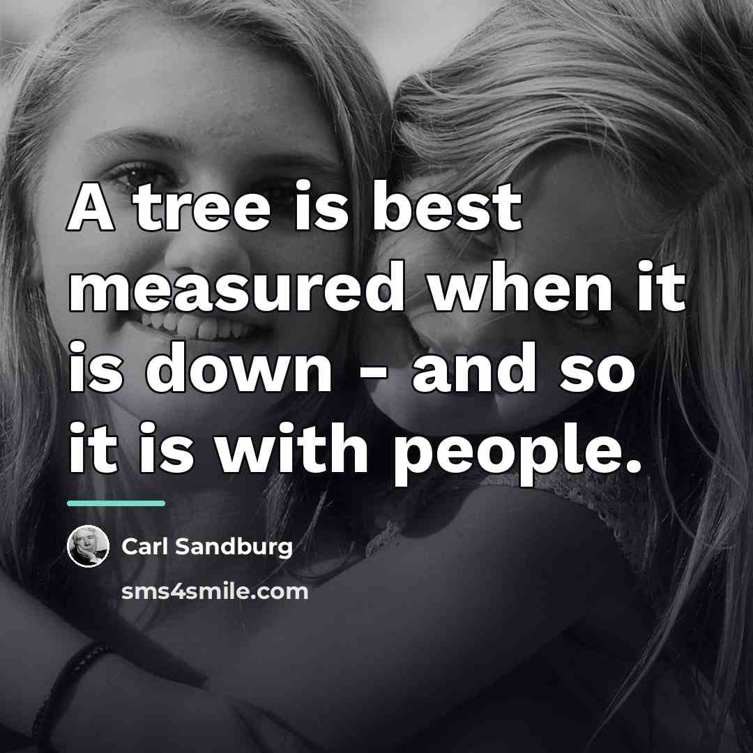 “A tree is best measured when it is down -…” quote by Carl Sandburg