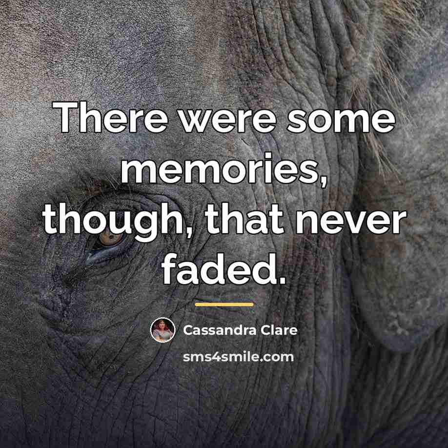 “There were some memories, though, that never faded.…” quote by Cassandra Clare