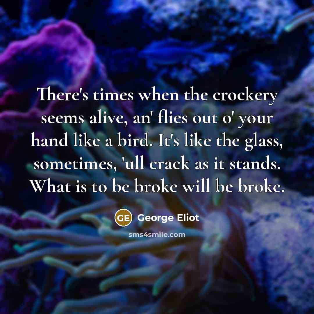 “There's times when the crockery seems alive, an' flies out…” quote by George Eliot