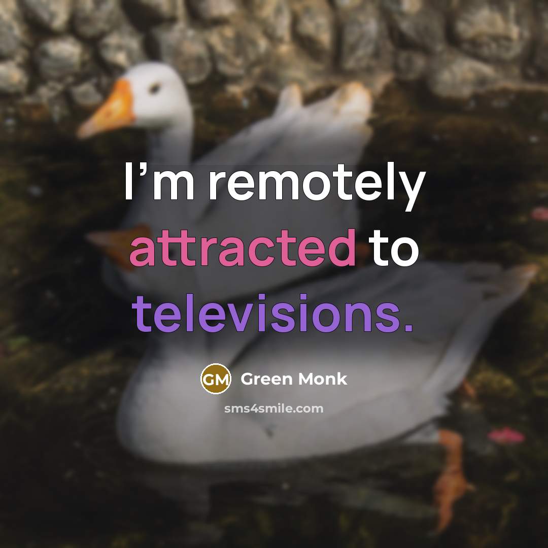 “I'm remotely attracted to televisions.” quote by Green Monk
