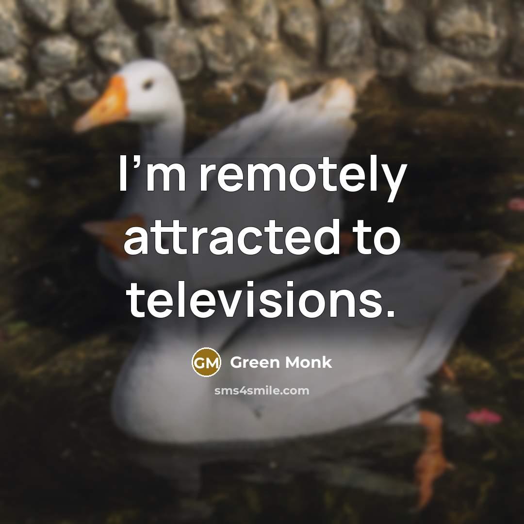 “I'm remotely attracted to televisions.…” quote by Green Monk