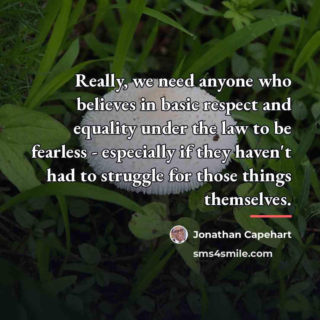 “Really, we need anyone who believes in basic respect and…” quote by Jonathan Capehart