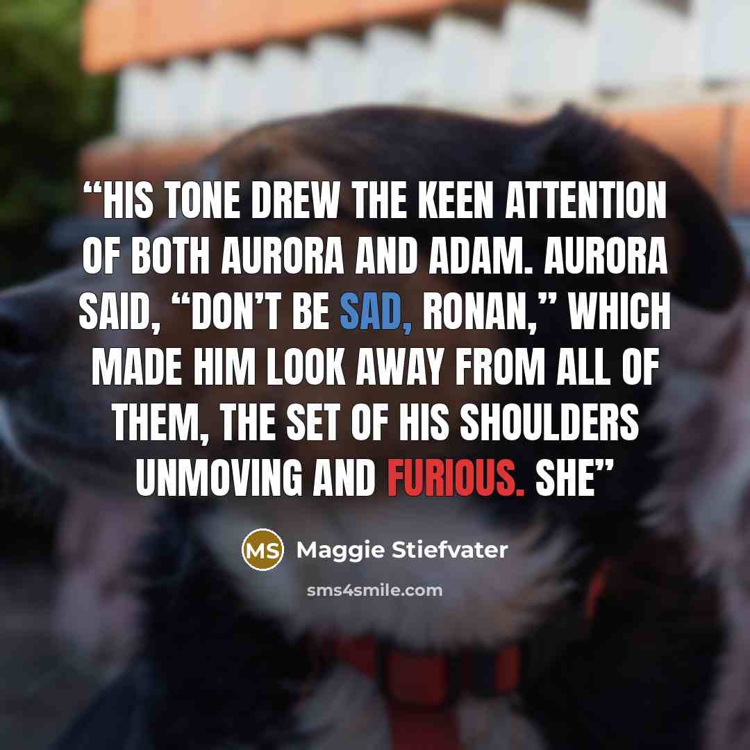 “His tone drew the keen attention of both Aurora and Adam. Aurora said, “Don’t be sad, Ronan,” which made him look away from all of them, the set of his shoulders unmoving and furious. She” quote by Maggie Stiefvater