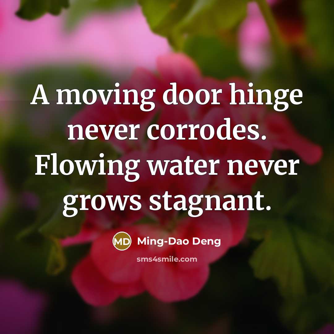 “A moving door hinge never corrodes. Flowing water never grows…” quote by Ming-Dao Deng