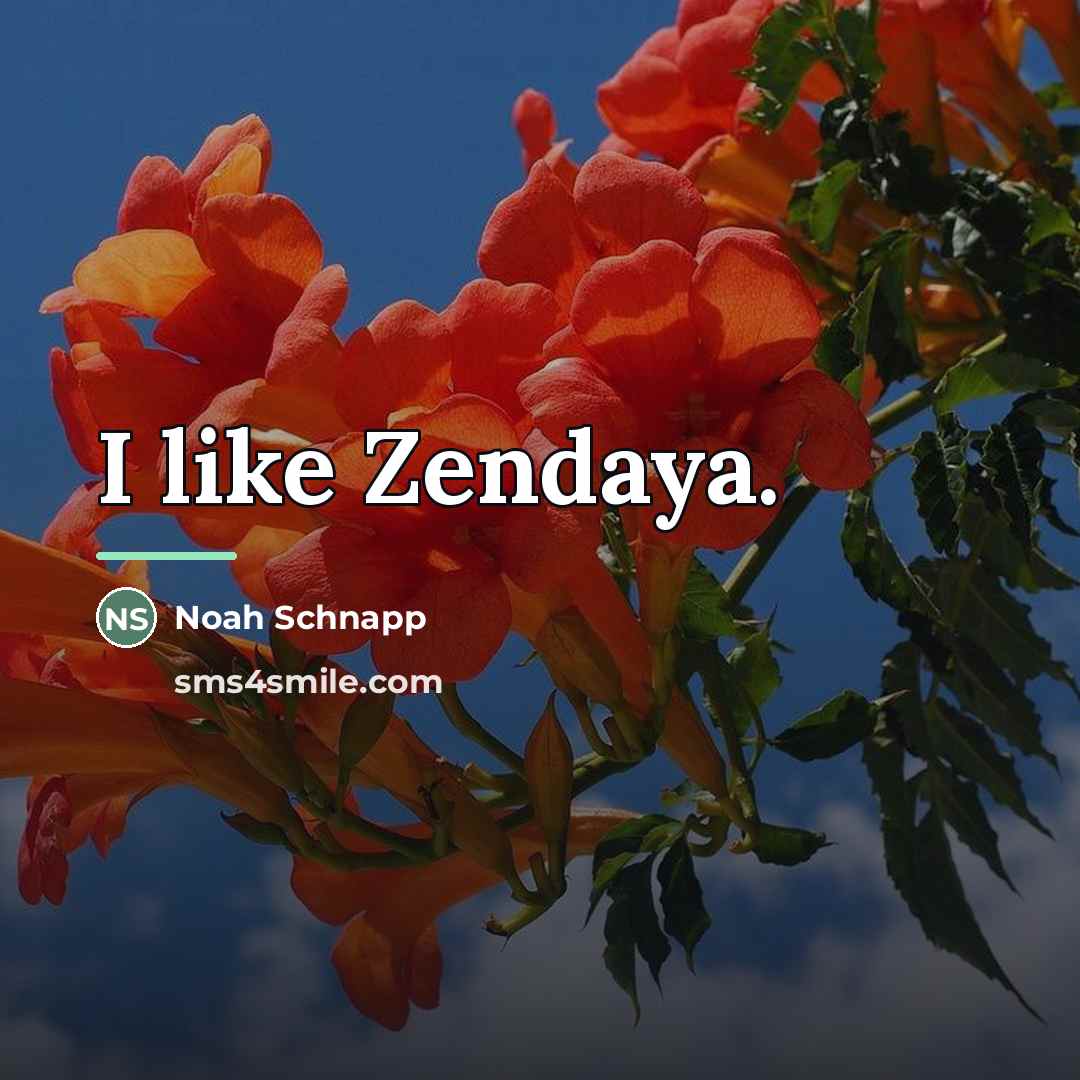 “I like Zendaya.…” quote by Noah Schnapp