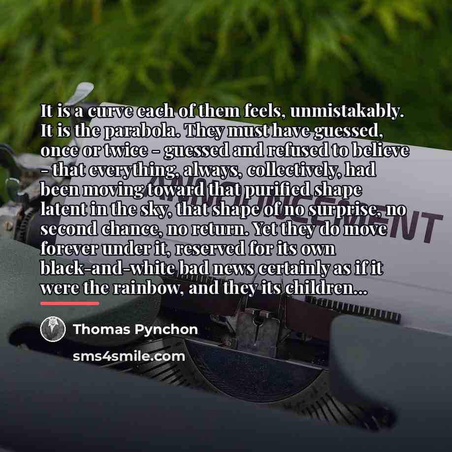 “It is a curve each of them feels, unmistakably. It…” quote by Thomas Pynchon