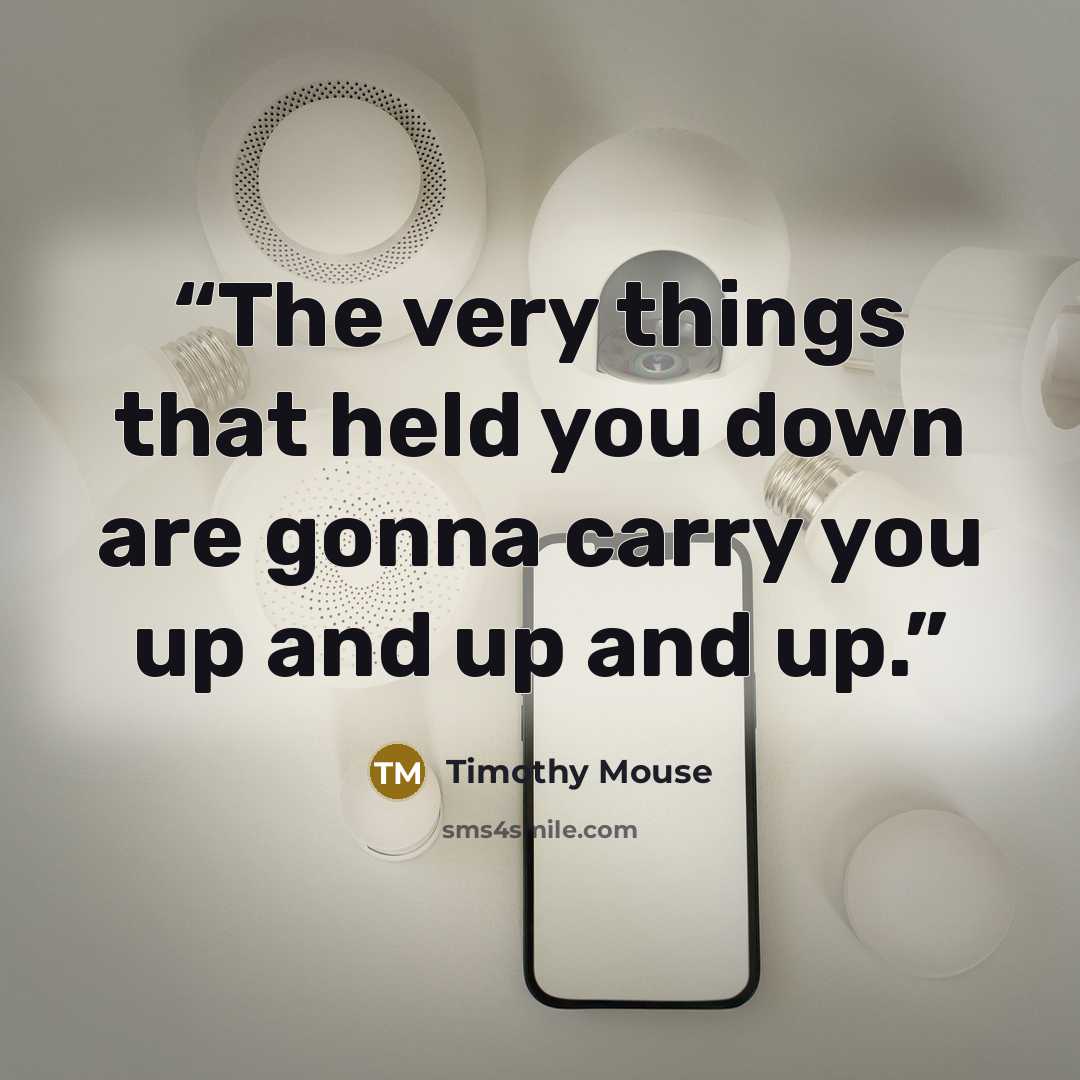 “The very things that held you down are gonna carry you up and up and up.” quote by Timothy Mouse