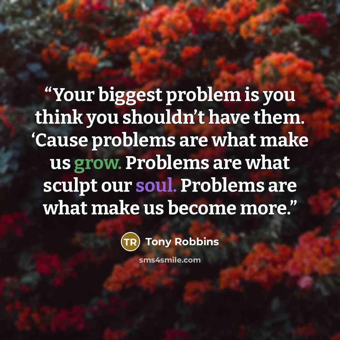 “Your biggest problem is you think you shouldn’t have them. ‘Cause problems are what make us grow. Problems are what sculpt our soul. Problems are what make us become more.” quote by Tony Robbins