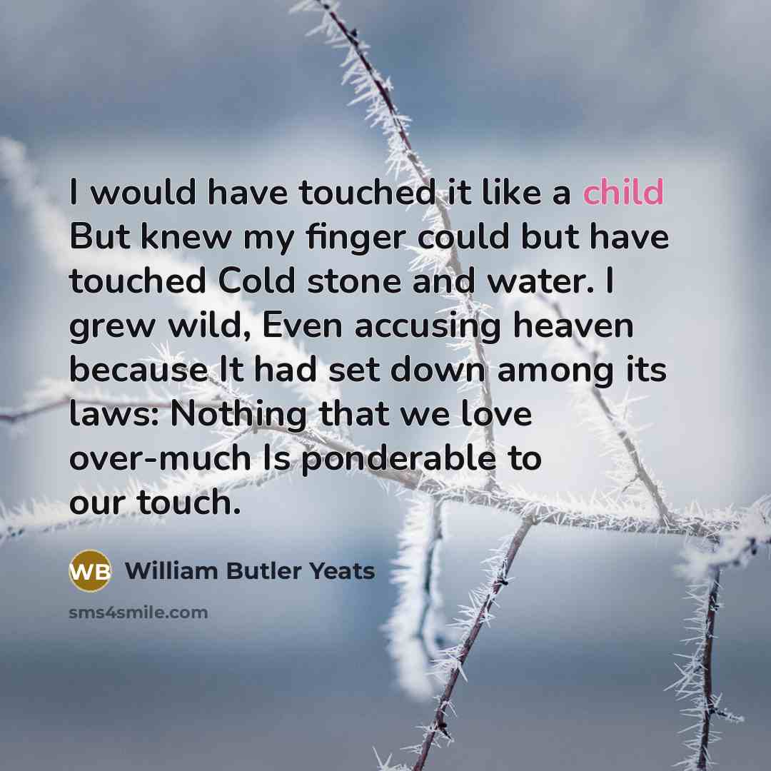 “I would have touched it like a child But knew…” quote by William Butler Yeats