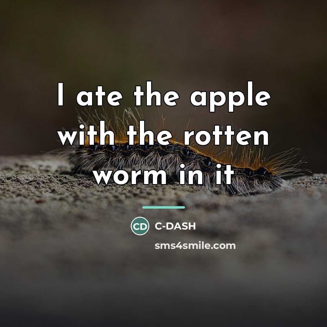 “I ate the apple with the rotten worm in it…” quote by C-DASH
