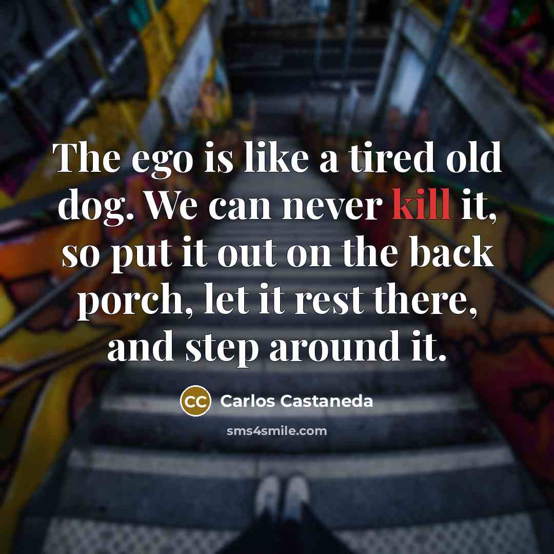 “The ego is like a tired old dog. We can…” quote by Carlos Castaneda