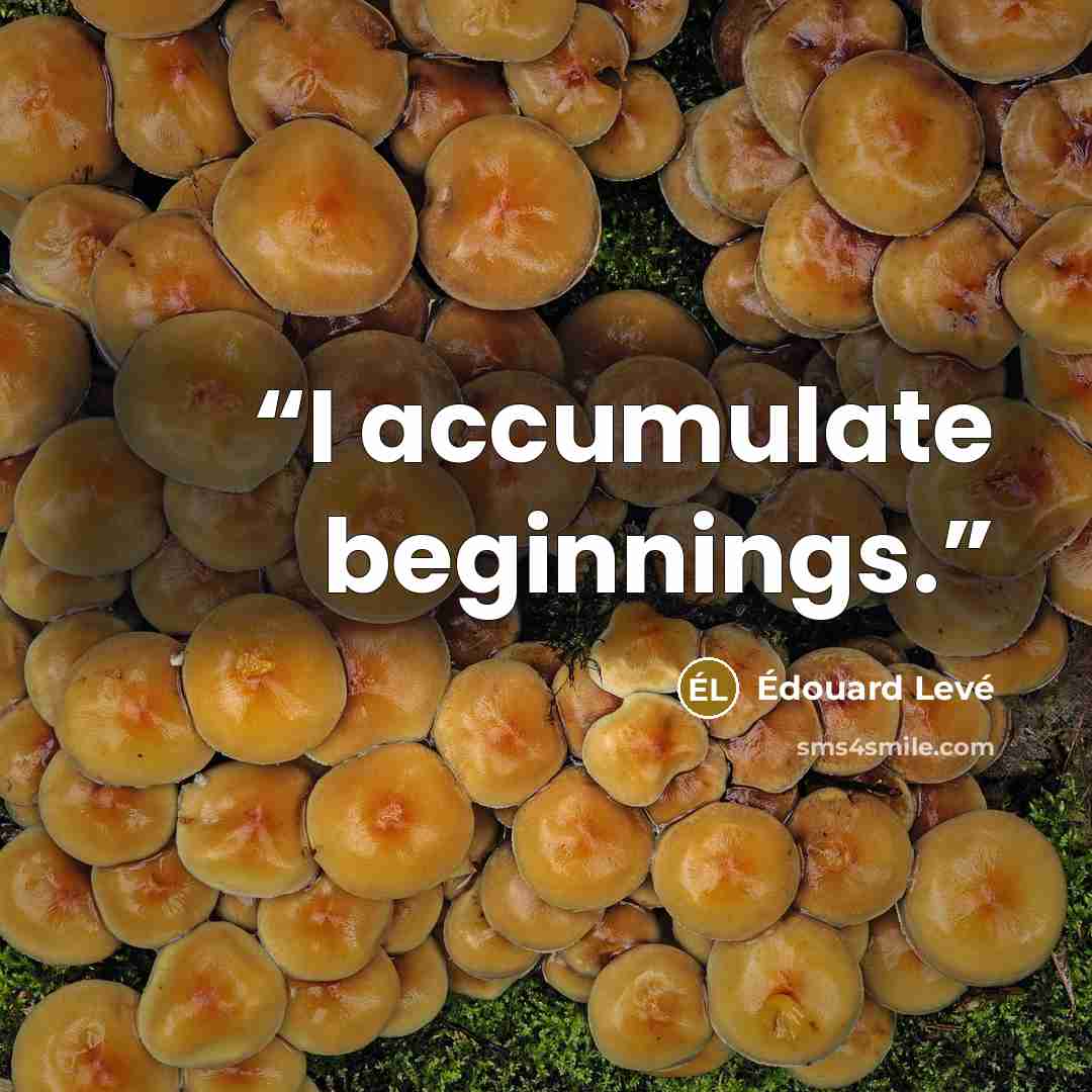“I accumulate beginnings.” quote by Édouard Levé