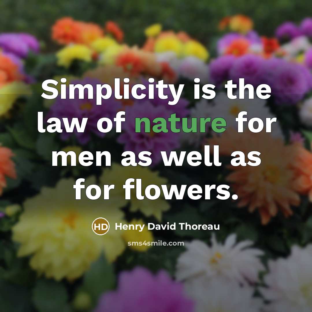 “Simplicity is the law of nature for men as well…” quote by Henry David Thoreau