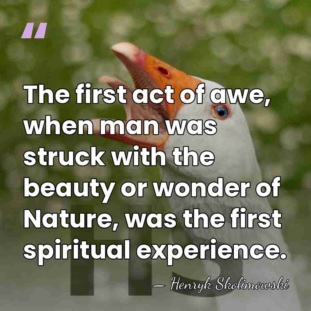 The first act of awe, when man was struck with the beauty&hellip; - Henryk Skolimowski