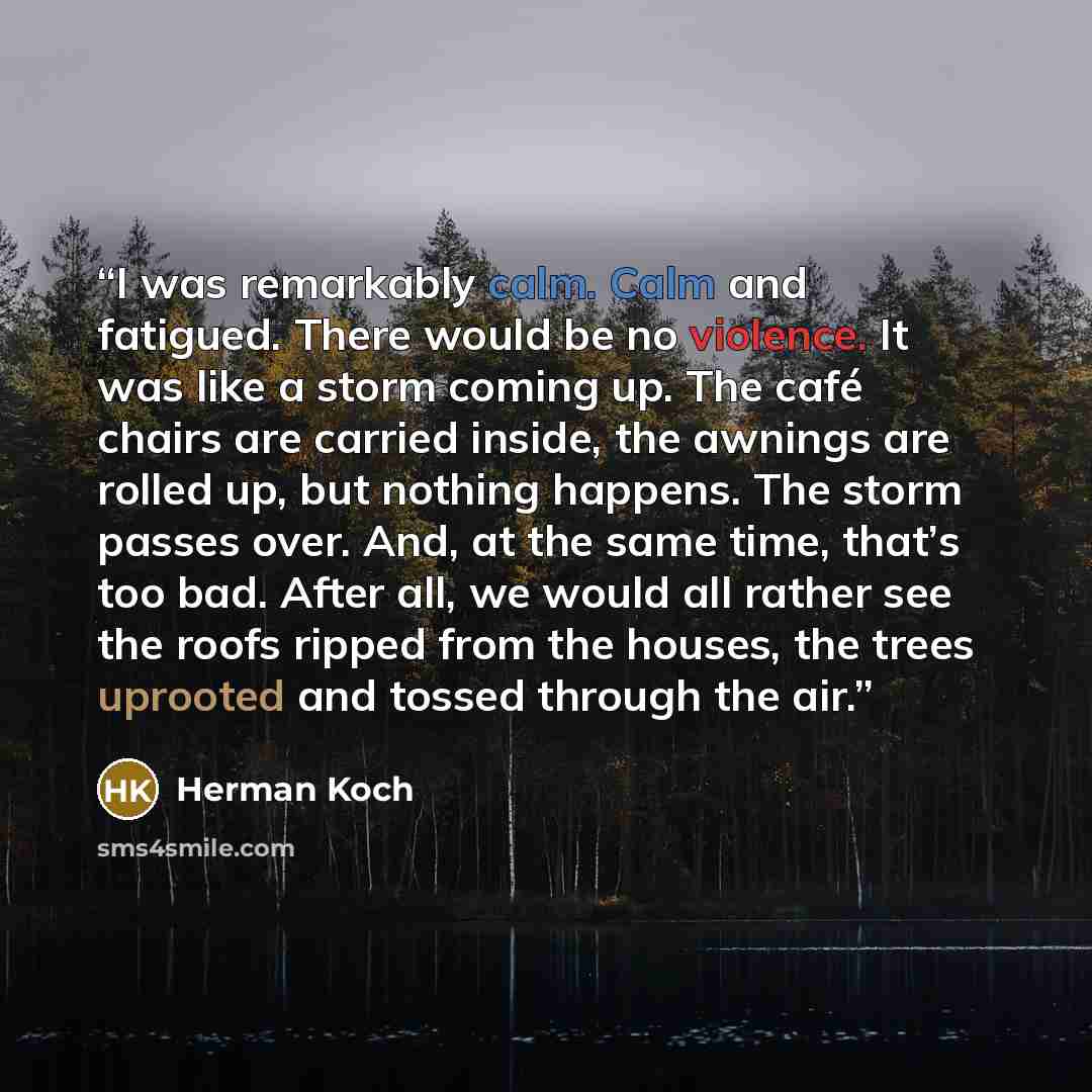 “I was remarkably calm. Calm and fatigued. There would be no violence. It was like a storm coming up. The café chairs are carried inside, the awnings are rolled up, but nothing happens. The storm passes over. And, at the same time, that’s too bad. After all, we would all rather see the roofs ripped…” quote by Herman Koch