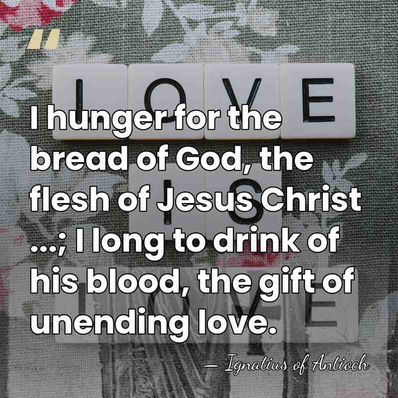 I hunger for the bread of God, the flesh of Jesus Christ&hellip; - Ignatius of Antioch