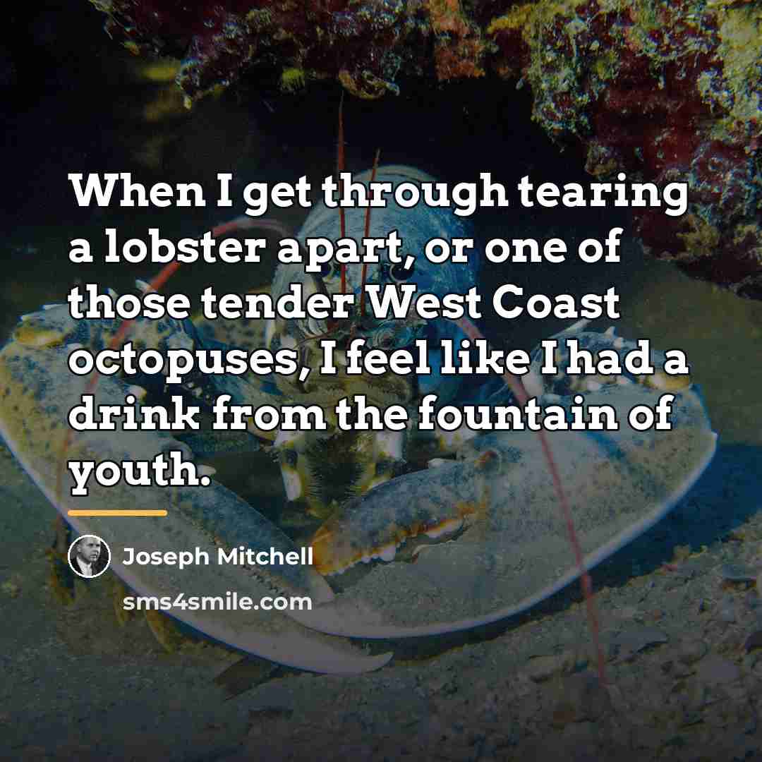 “When I get through tearing a lobster apart, or one…” quote by Joseph Mitchell