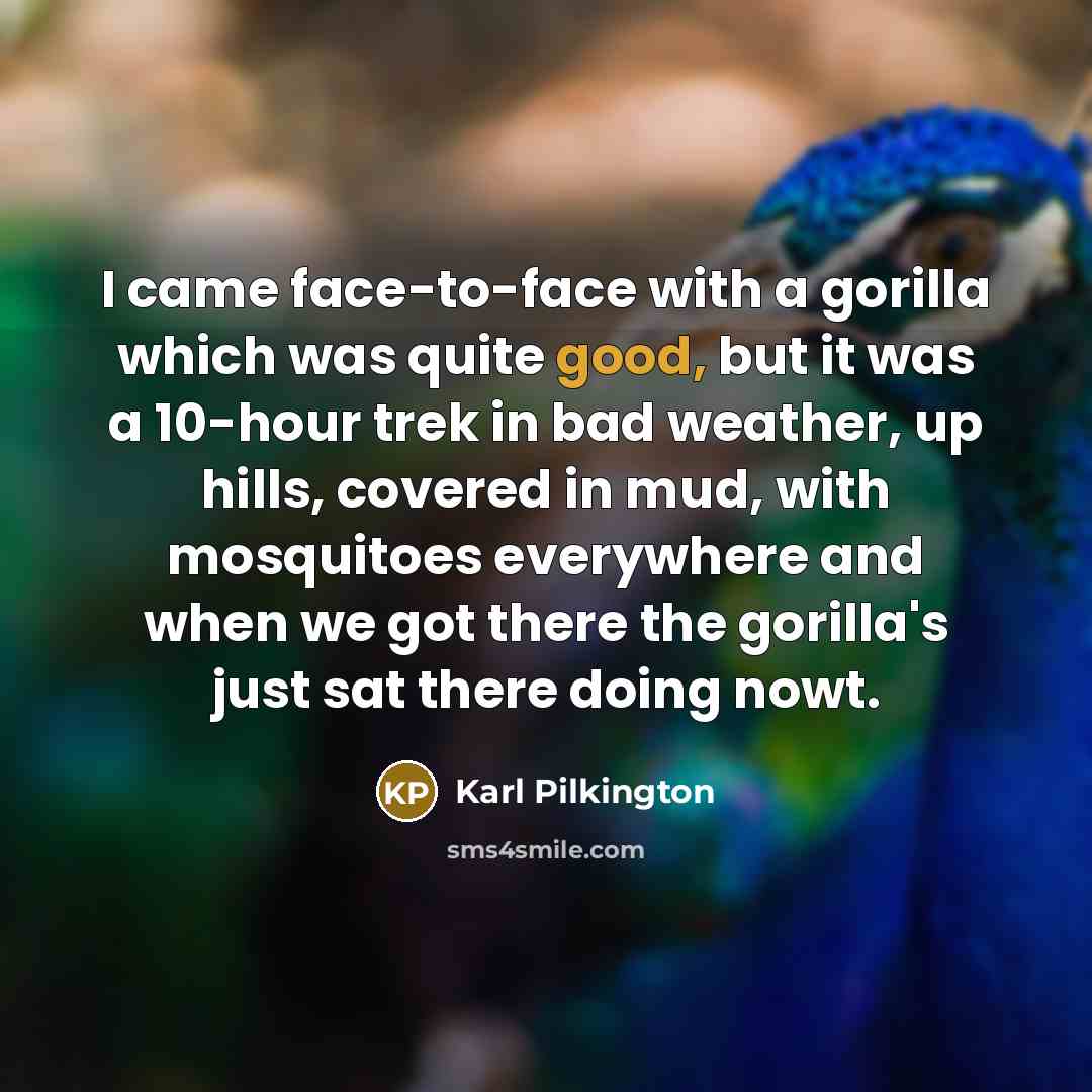 “I came face-to-face with a gorilla which was quite good, but it was a 10-hour trek in bad weather, up hills, covered in mud, with mosquitoes everywhere and when we got there the gorilla's just sat there doing nowt.” quote by Karl Pilkington