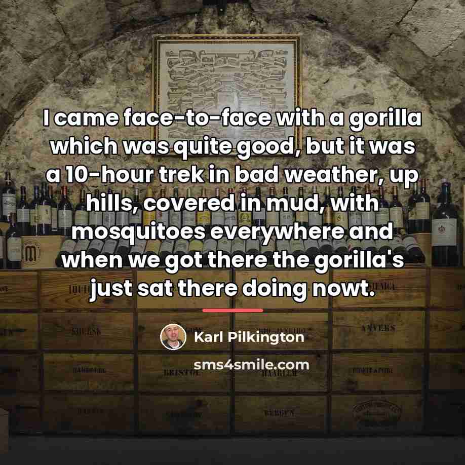 “I came face-to-face with a gorilla which was quite good,…” quote by Karl Pilkington