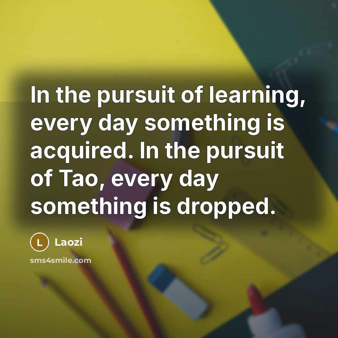 “In the pursuit of learning, every day something is acquired.…” quote by Laozi