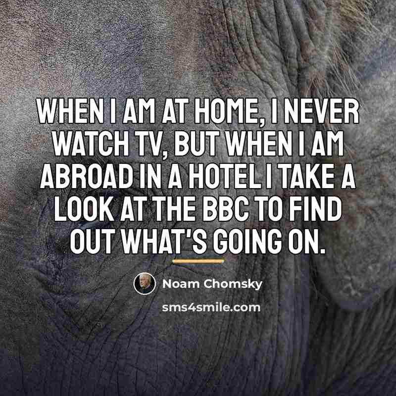 “When I am at home, I never watch TV, but…” quote by Noam Chomsky