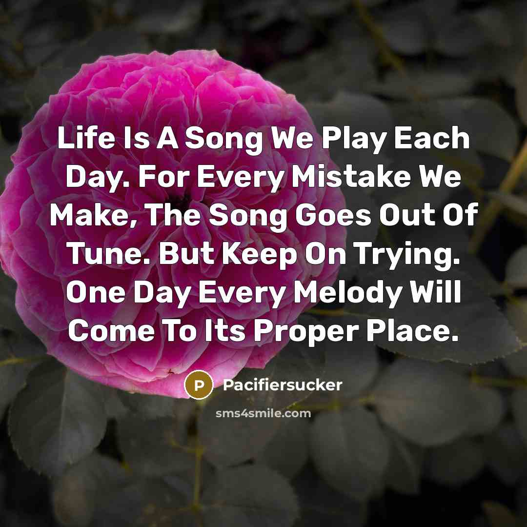 “Life Is A Song We Play Each Day. For Every…” quote by Pacifiersucker