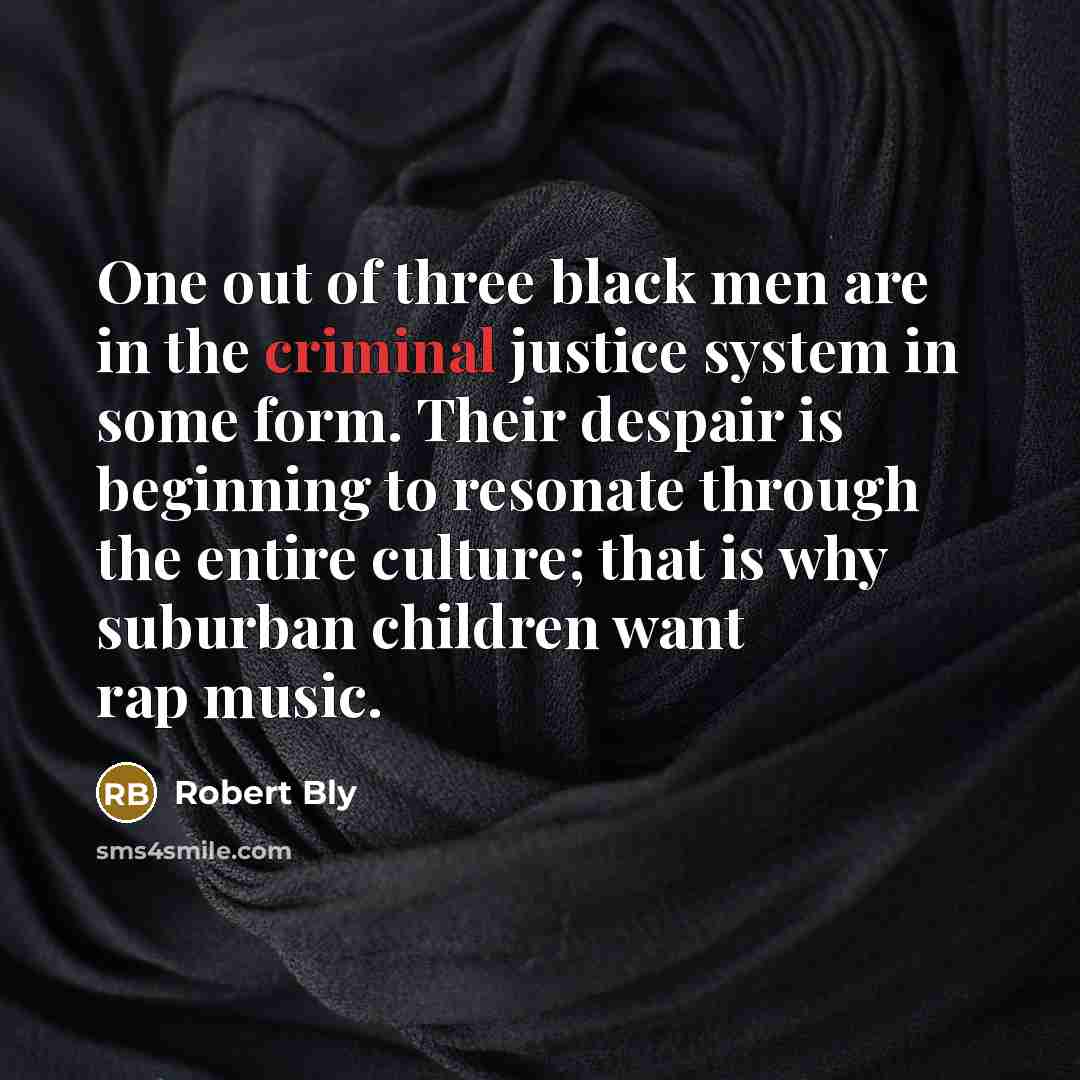 “One out of three black men are in the criminal…” quote by Robert Bly