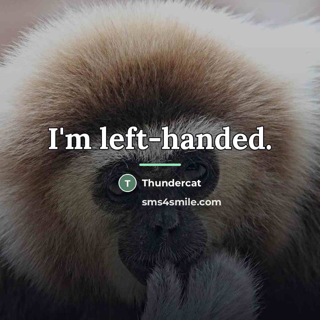 “I'm left-handed.…” quote by Thundercat