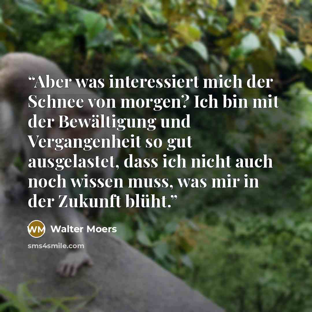 “Aber was interessiert mich der Schnee von morgen? Ich bin mit der Bewältigung und Vergangenheit so gut ausgelastet, dass ich nicht auch noch wissen muss, was mir in der Zukunft blüht.” quote by Walter Moers