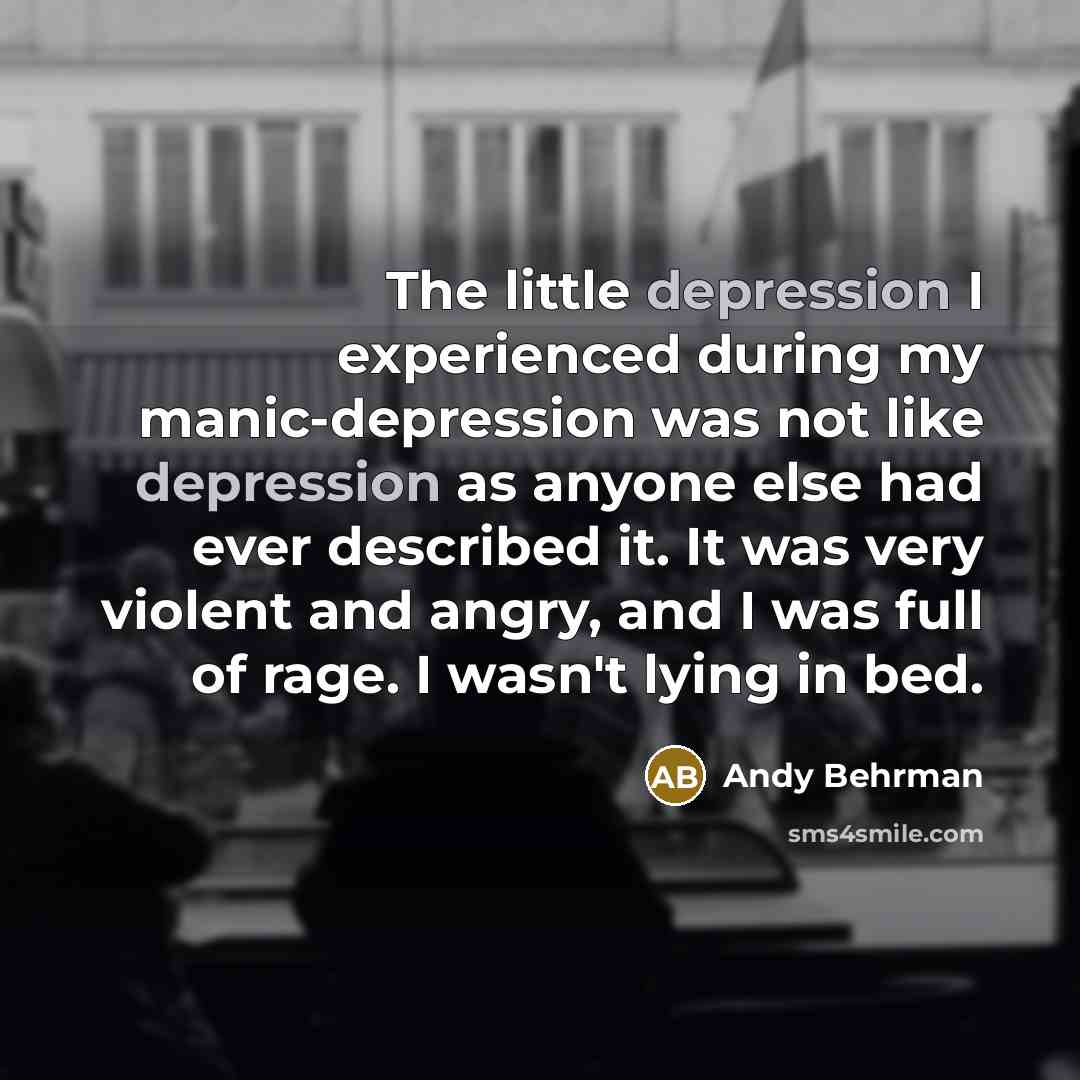 “The little depression I experienced during my manic-depression was not…” quote by Andy Behrman