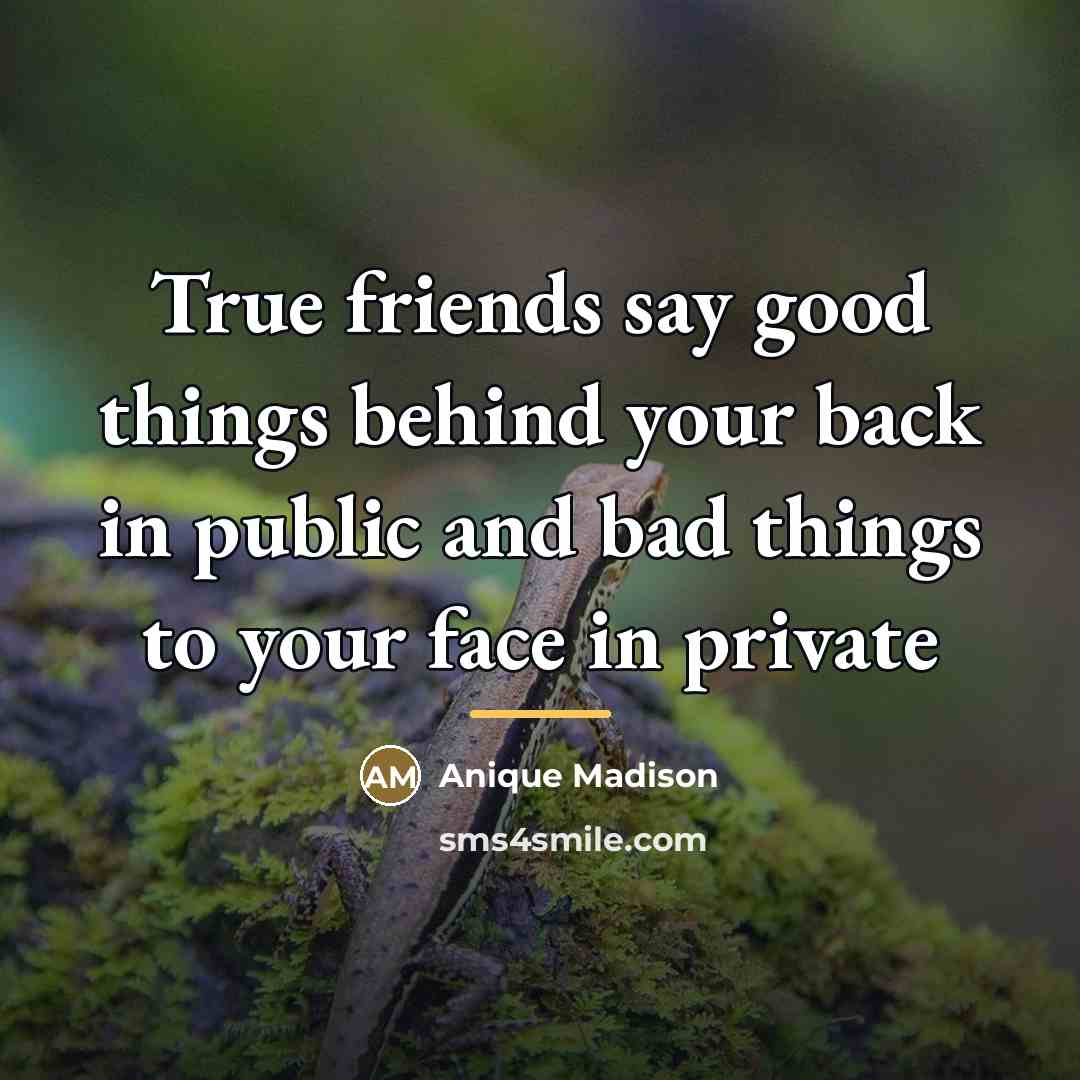 “True friends say good things behind your back in public…” quote by Anique Madison