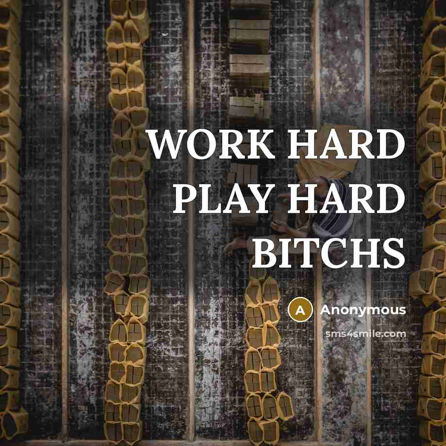 “WORK HARD PLAY HARD BITCHS” quote by Anonymous
