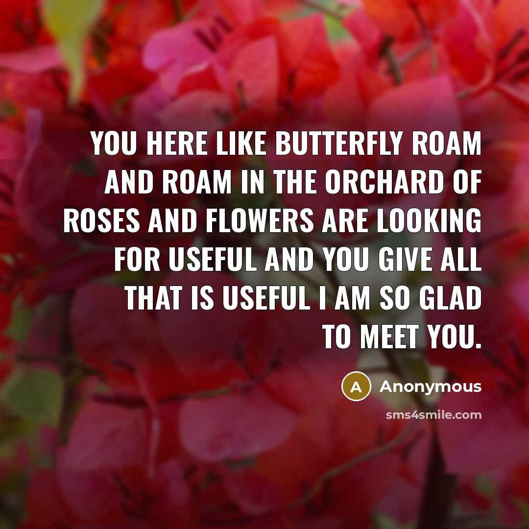 “You here like butterfly roam and roam in the orchard of roses and flowers are looking for useful and you give all that is useful I am so glad to meet you.” quote by Anonymous