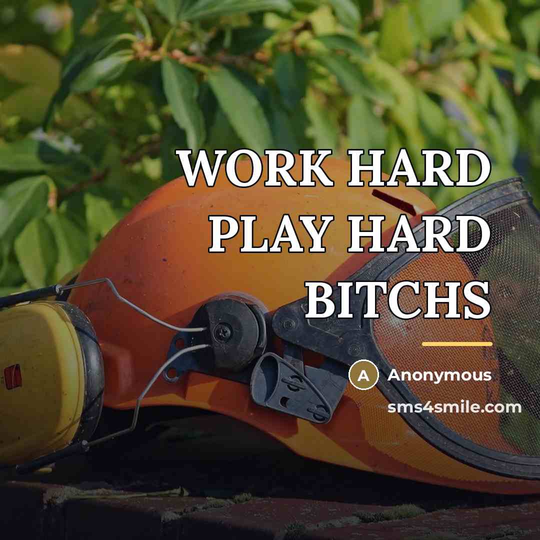 “WORK HARD PLAY HARD BITCHS…” quote by Anonymous