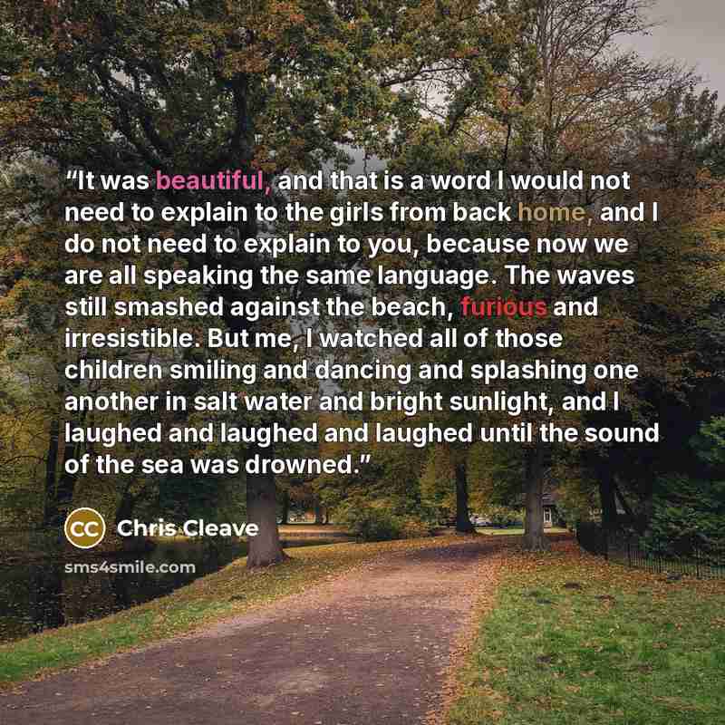 “It was beautiful, and that is a word I would not need to explain to the girls from back home, and I do not need to explain to you, because now we are all speaking the same language. The waves still smashed against the beach, furious and irresistible. But me, I watched all of those children smiling…” quote by Chris Cleave
