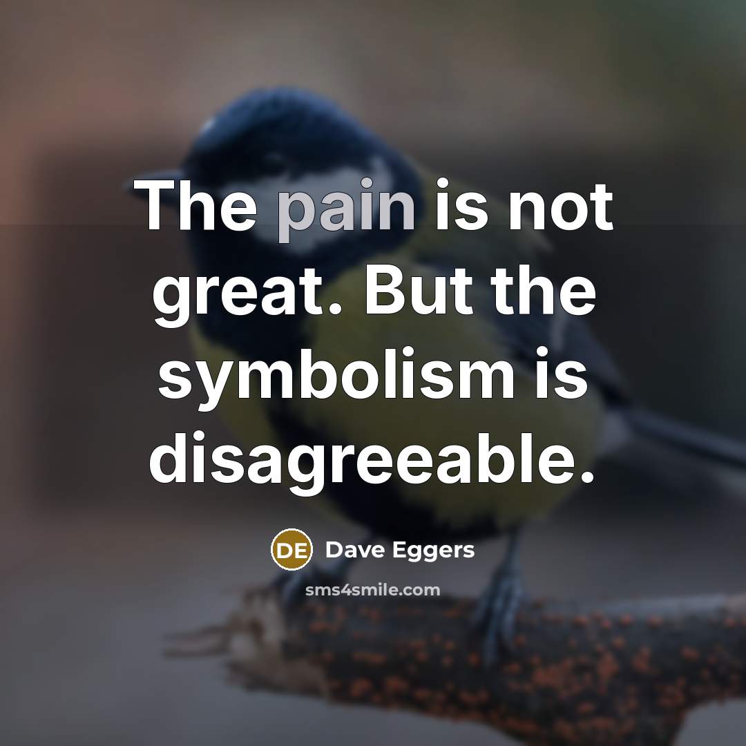 “The pain is not great. But the symbolism is disagreeable.…” quote by Dave Eggers