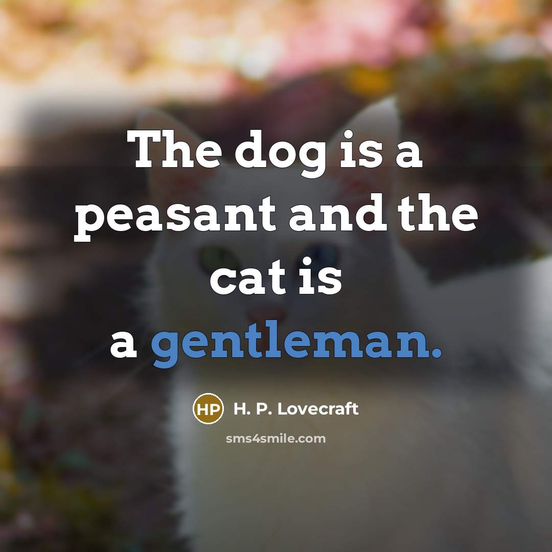 “The dog is a peasant and the cat is a…” quote by H. P. Lovecraft