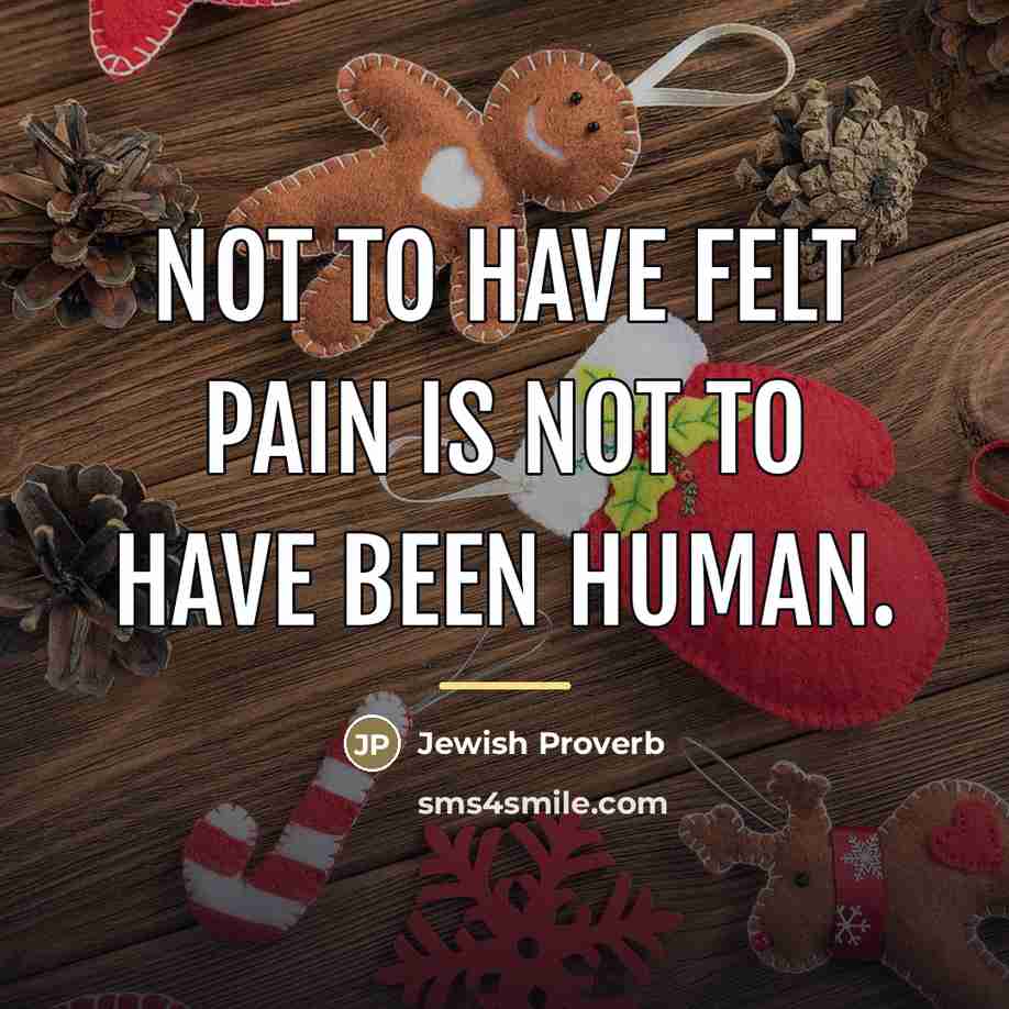 “Not to have felt pain is not to have been…” quote by Jewish Proverb
